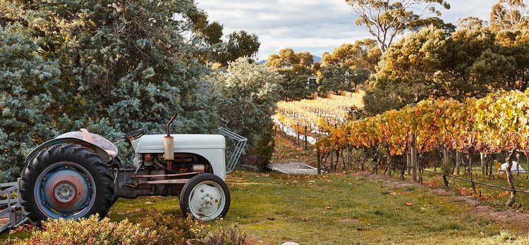 Every-Man-and-His-Dog-Vineyard-Richmond-Tasmania-tractor